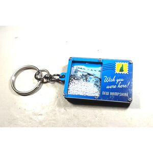 Wish You Were Here ! New Hampshire Moose Snow Toy Acrylic Keychain